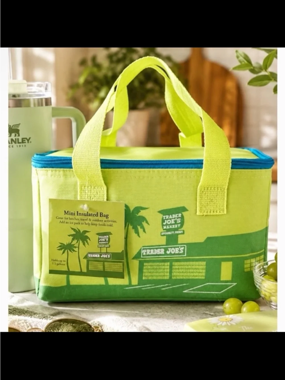 🆕Trader Joe’s Set of 2 Mini Insulated Food Storage Lunch Tote Bag❤️❤️